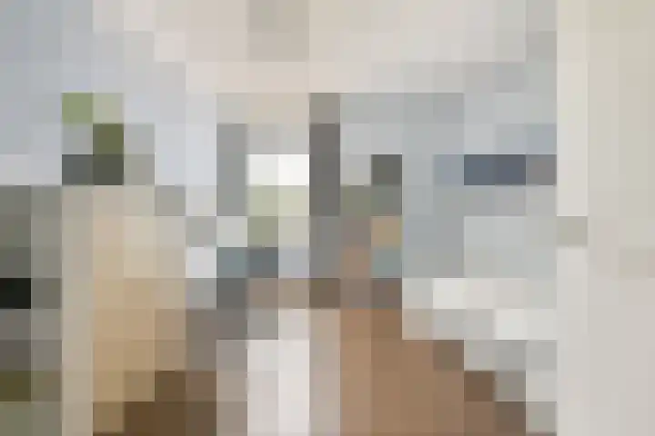 Stevenshof 103 Dordrecht thumbnail 24