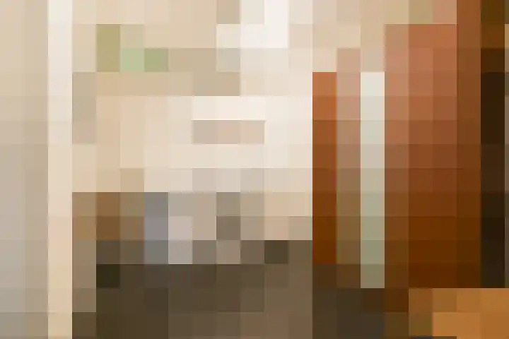 Stevenshof 103 Dordrecht thumbnail 26