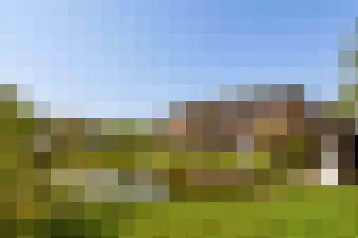 Stevenshof 103 Dordrecht thumbnail 30