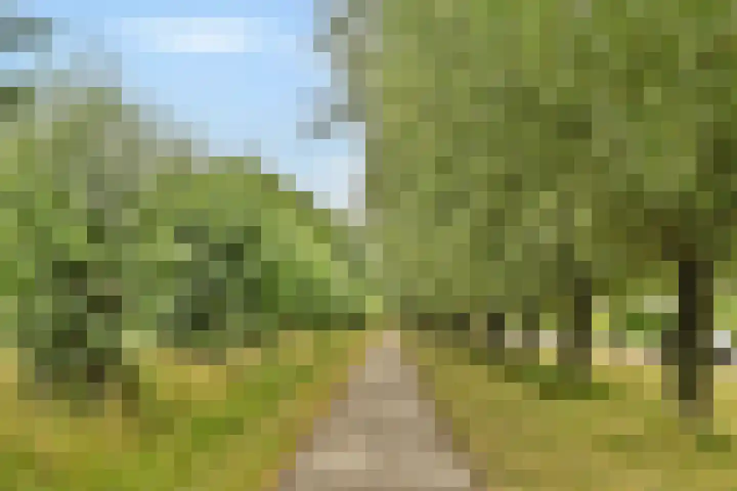 Stevenshof 20 B Dordrecht thumbnail 39
