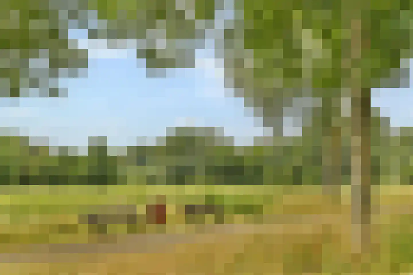 Stevenshof 20 B Dordrecht thumbnail 40