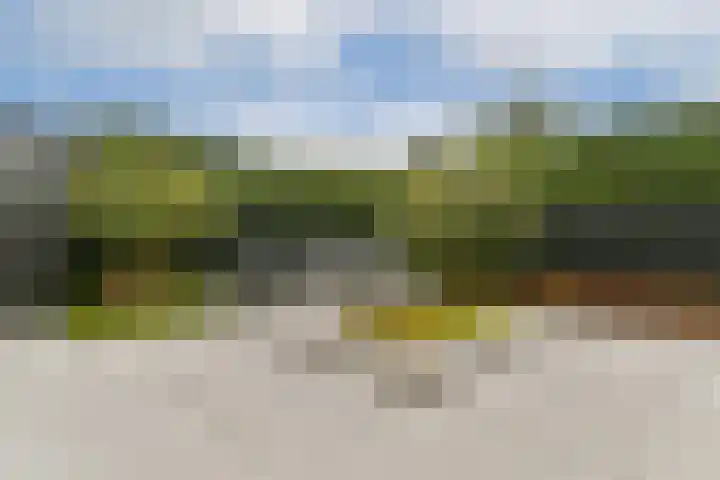 Stevenshof 30 Dordrecht thumbnail 24