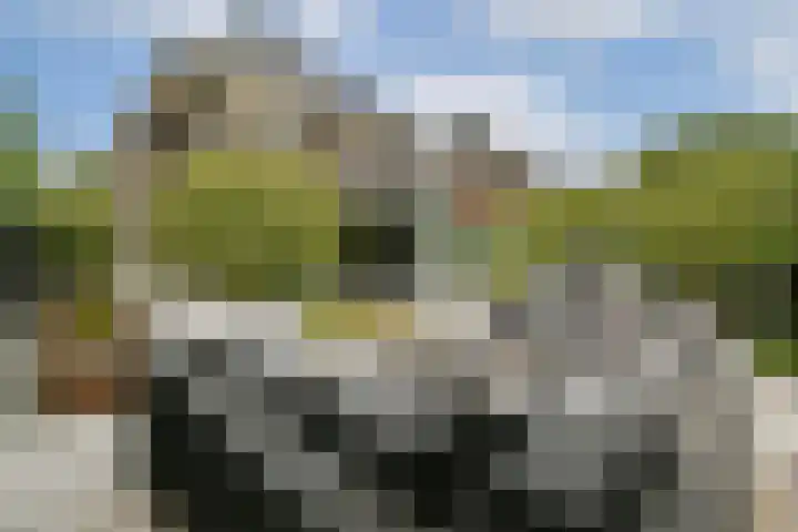 Stevenshof 30 Dordrecht thumbnail 25