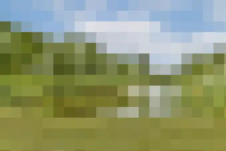 Stevenshof 30 Dordrecht thumbnail 44