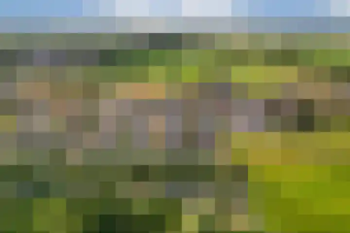 Stevenshof 30 Dordrecht thumbnail 49