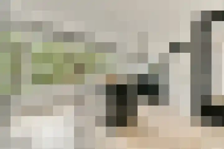 Stevenshof 30 Dordrecht thumbnail 5