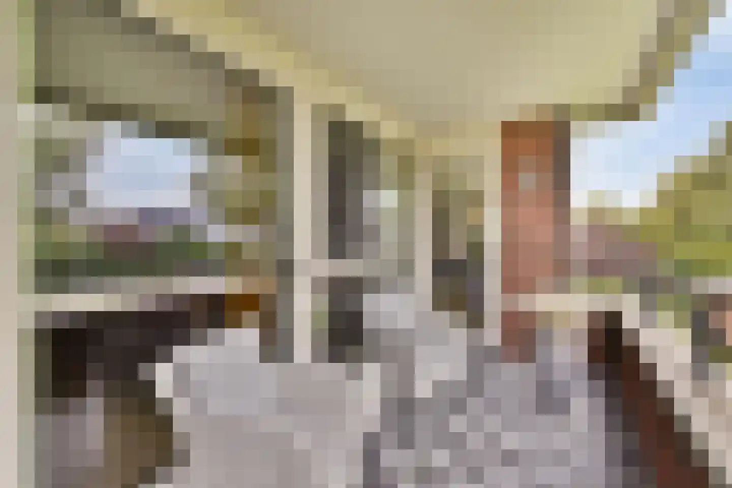 Stevenshof 79 Dordrecht thumbnail 17