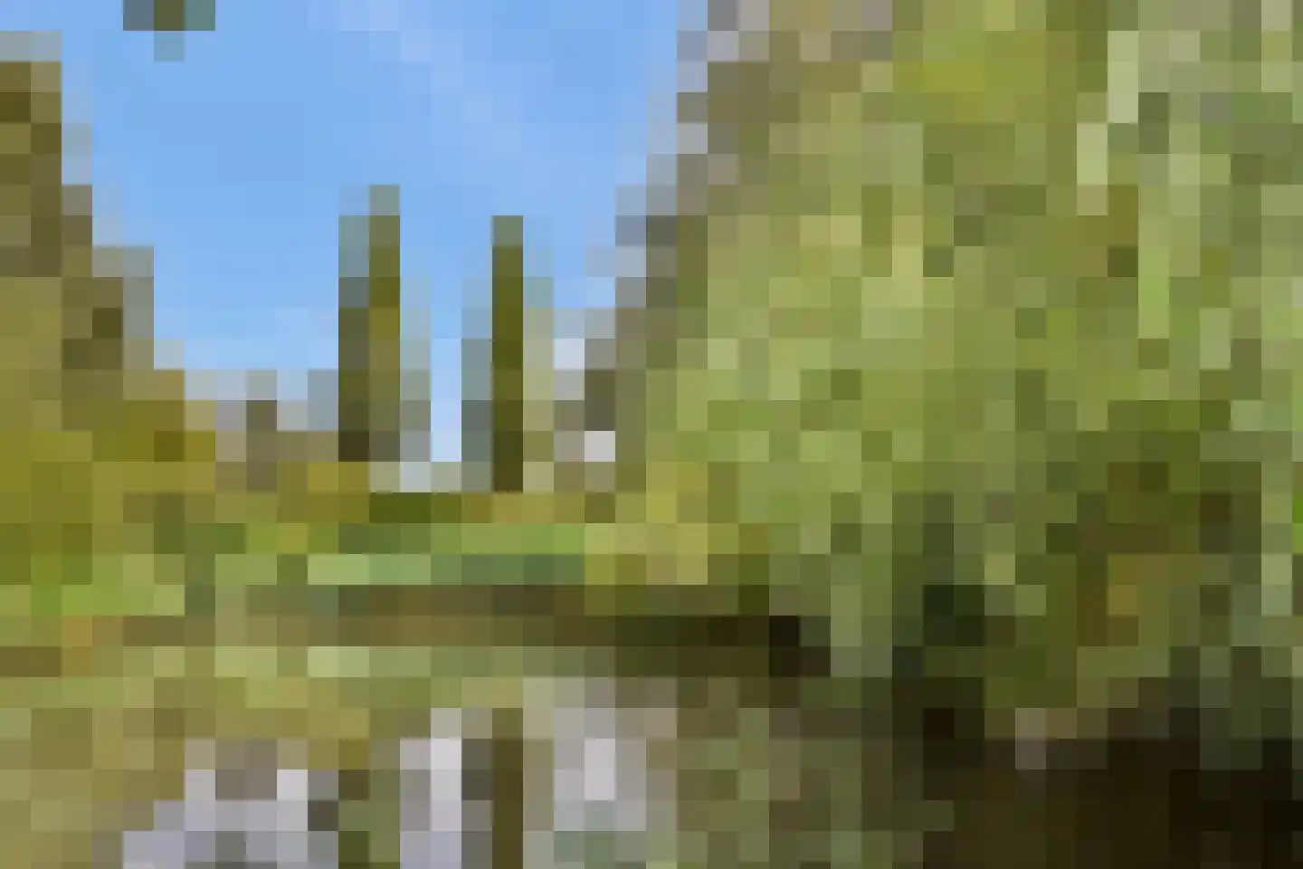 Stevenshof 79 Dordrecht thumbnail 33