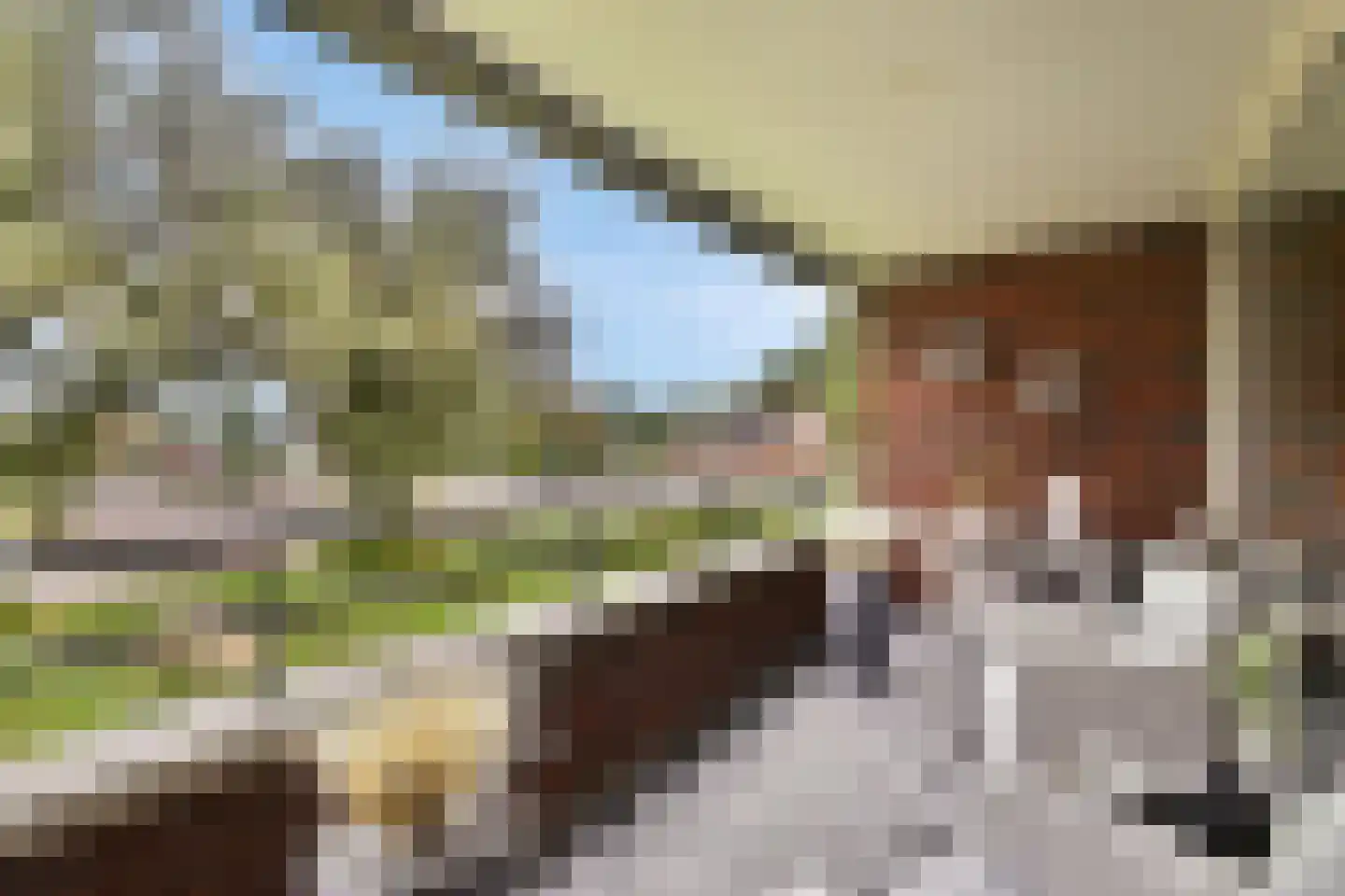 Stevenshof 79 Dordrecht thumbnail 6