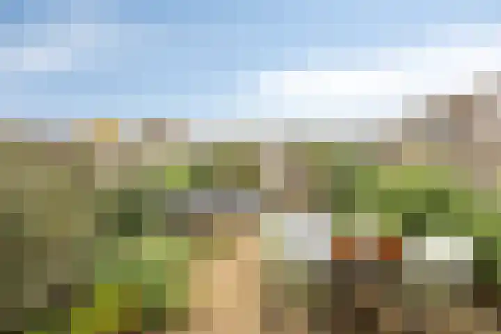Stevenshofdreef 111 Leiden thumbnail 13