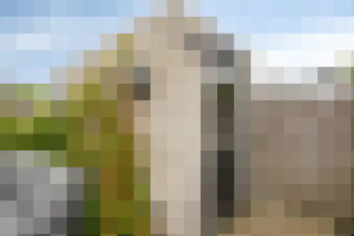 Stevenshofdreef 111 Leiden thumbnail 14
