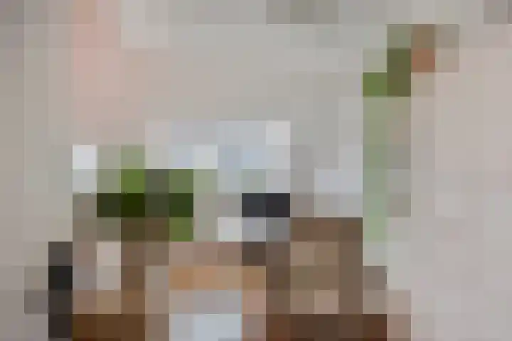 Stevenshofdreef 111 Leiden thumbnail 21