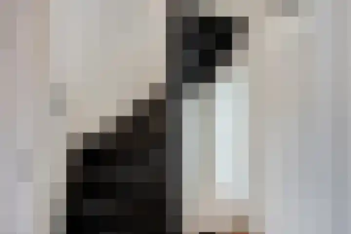Stevenshofdreef 111 Leiden thumbnail 23