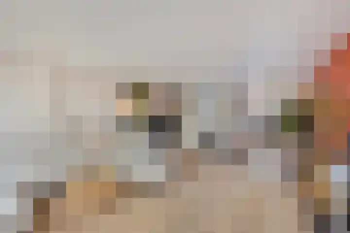 Stevenshofdreef 111 Leiden thumbnail 4