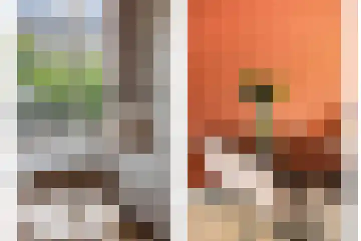 Stevenshofdreef 111 Leiden thumbnail 7