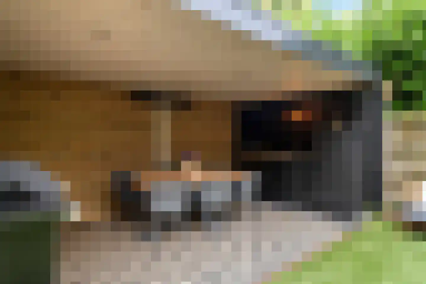 Stevenspad 6 A Druten thumbnail 36