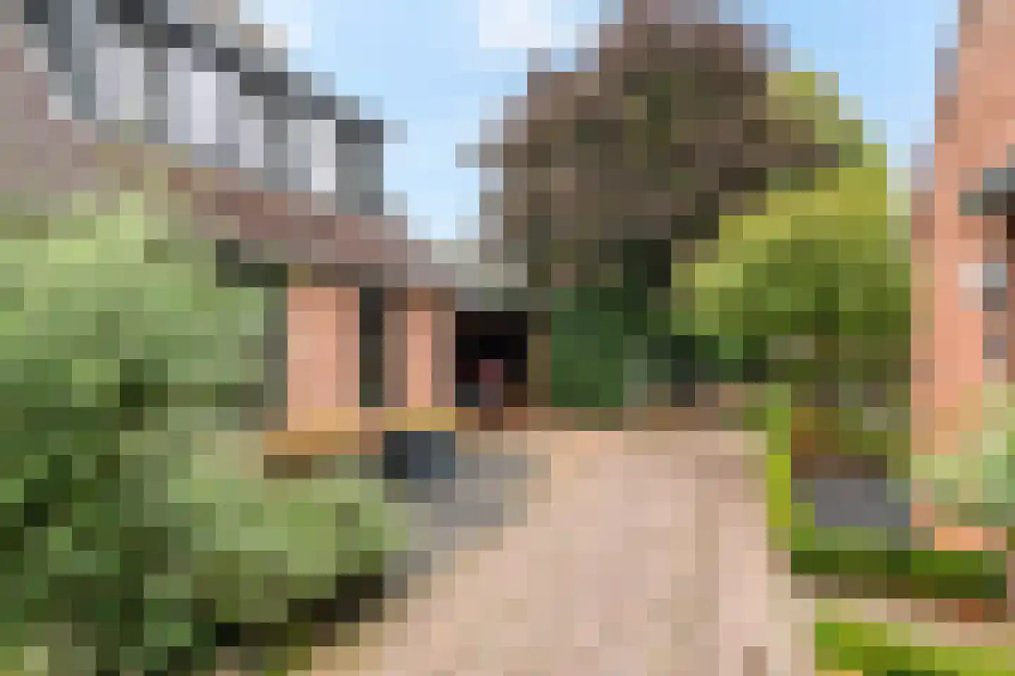 Stevenspad 6 A Druten thumbnail 40