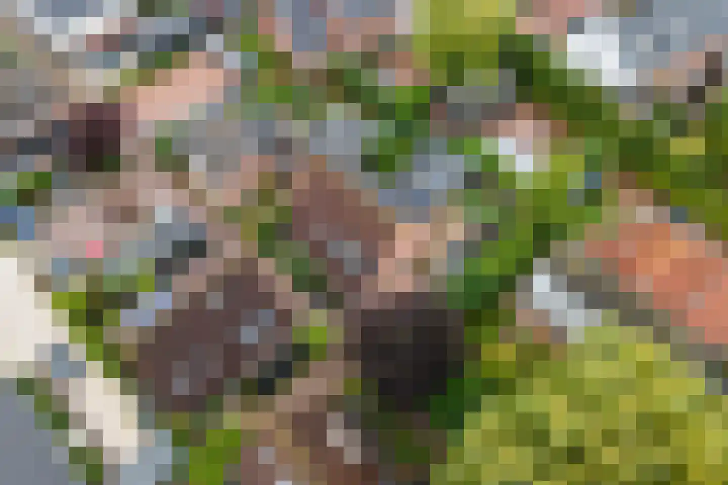 Stevenspad 6 A Druten thumbnail 41
