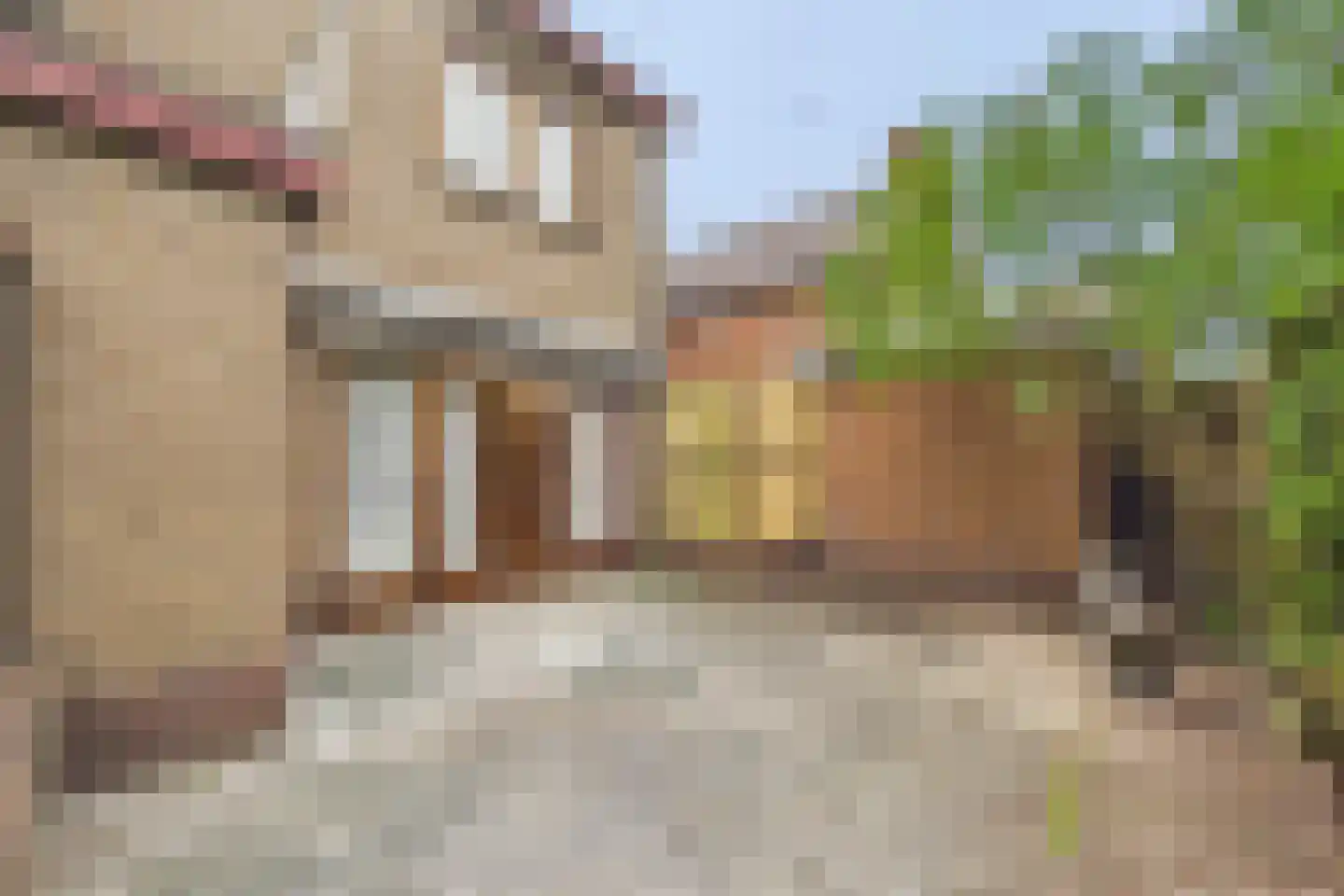 Stevensstraat 14 Sas van Gent thumbnail 34