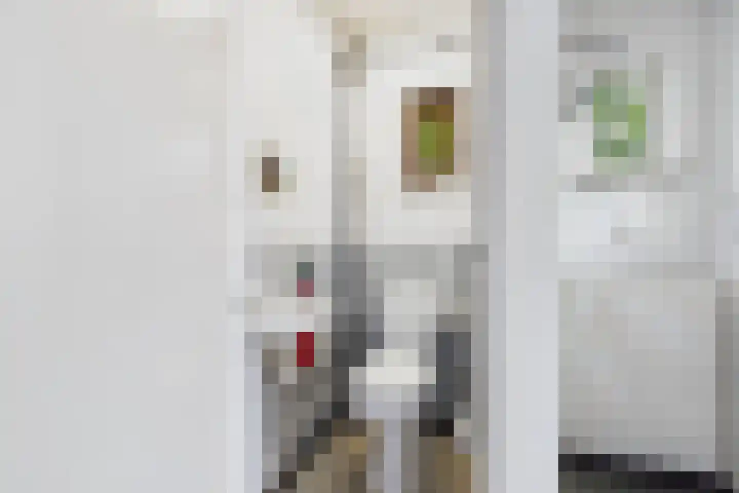Stevensstraat 14 Sas van Gent thumbnail 9