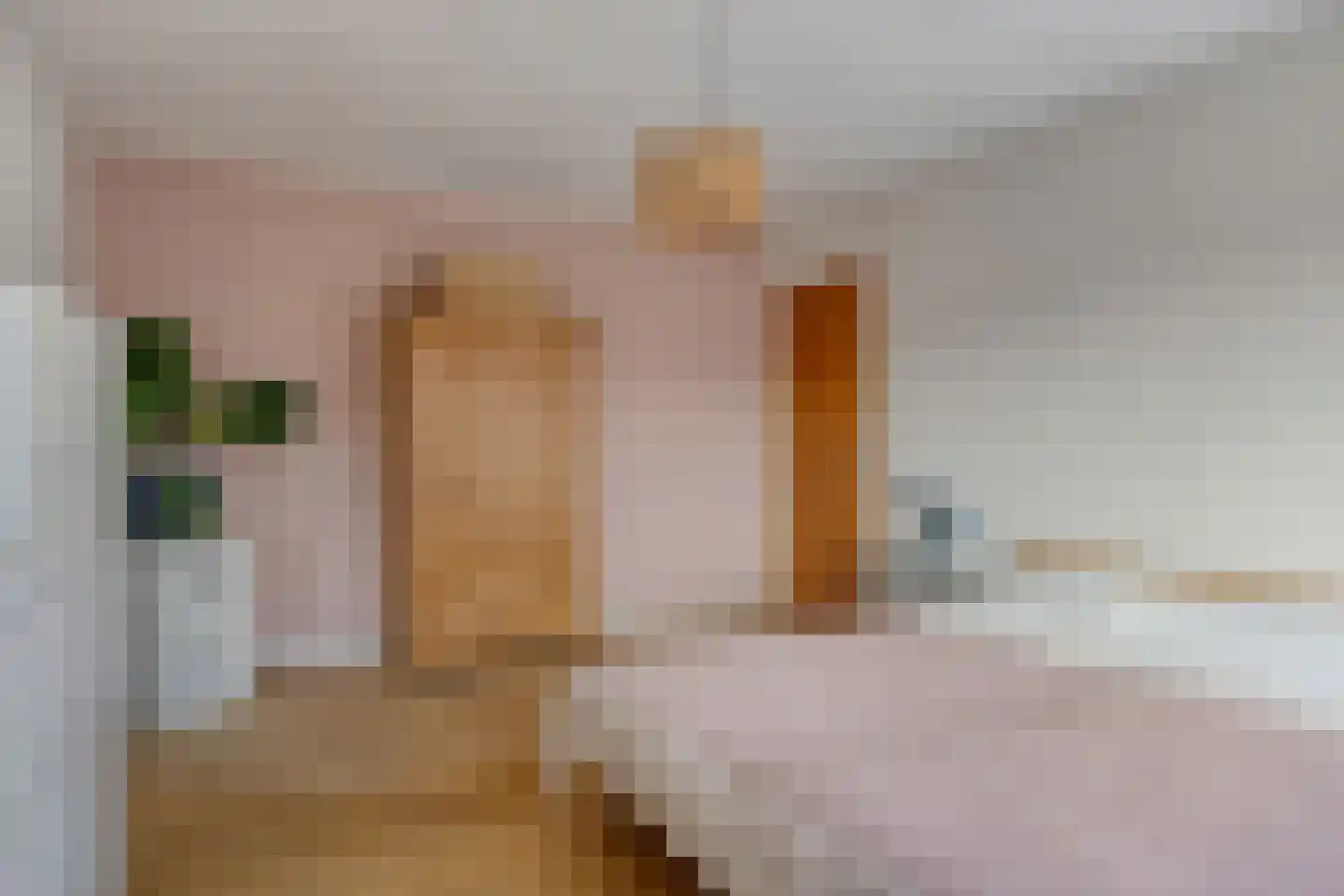 Stevensstraat 23 Sas van Gent thumbnail 13