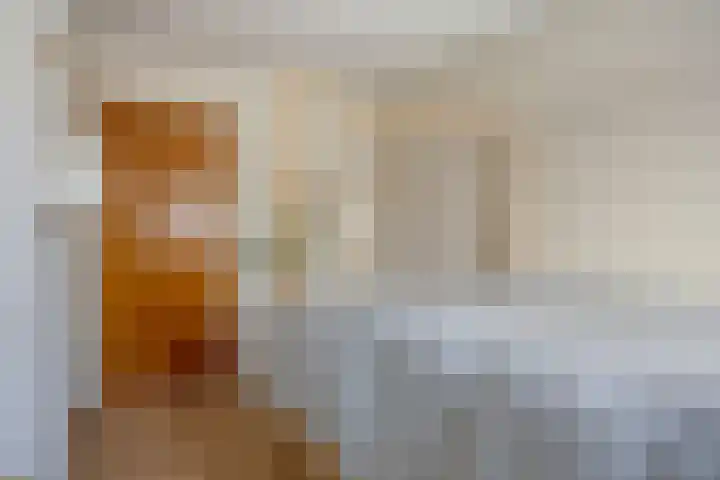Stevensstraat 23 Sas van Gent thumbnail 18