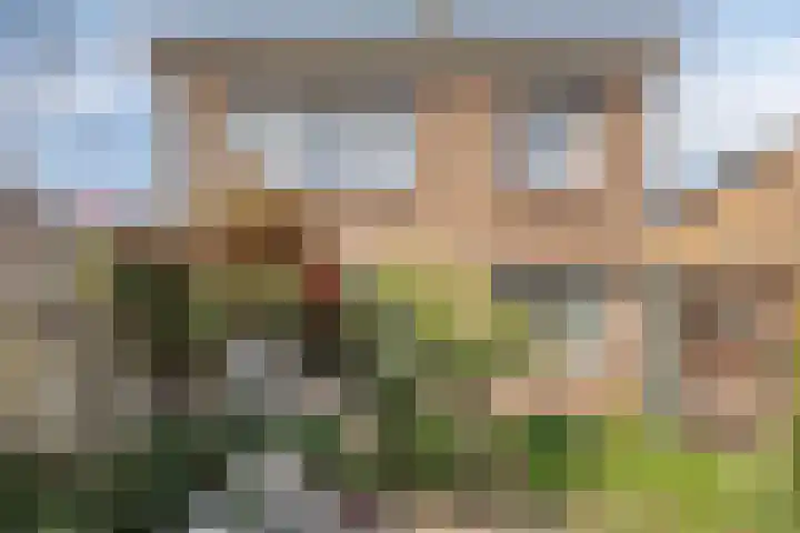 Stevensstraat 23 Sas van Gent thumbnail 20