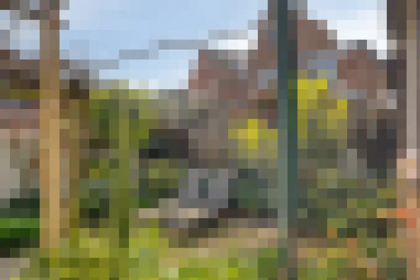 Stevensstraat 23 Sas van Gent thumbnail 22