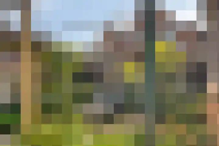 Stevensstraat 23 Sas van Gent thumbnail 22