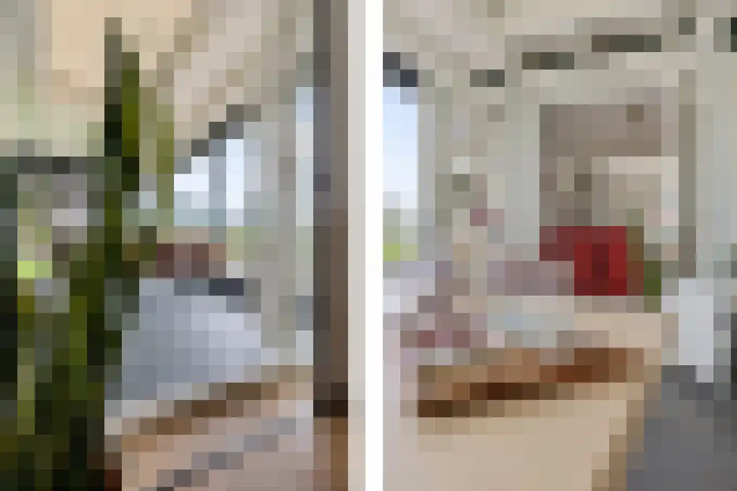 Stevensstraat 54 Westerbeek thumbnail 12