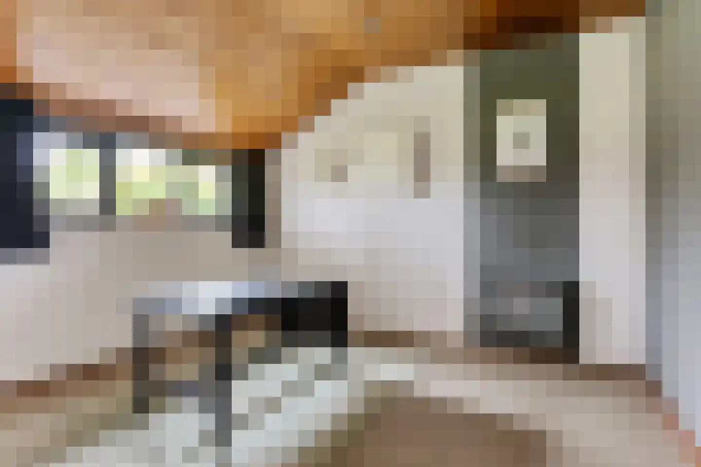 Stevensstraat 54 Westerbeek thumbnail 33