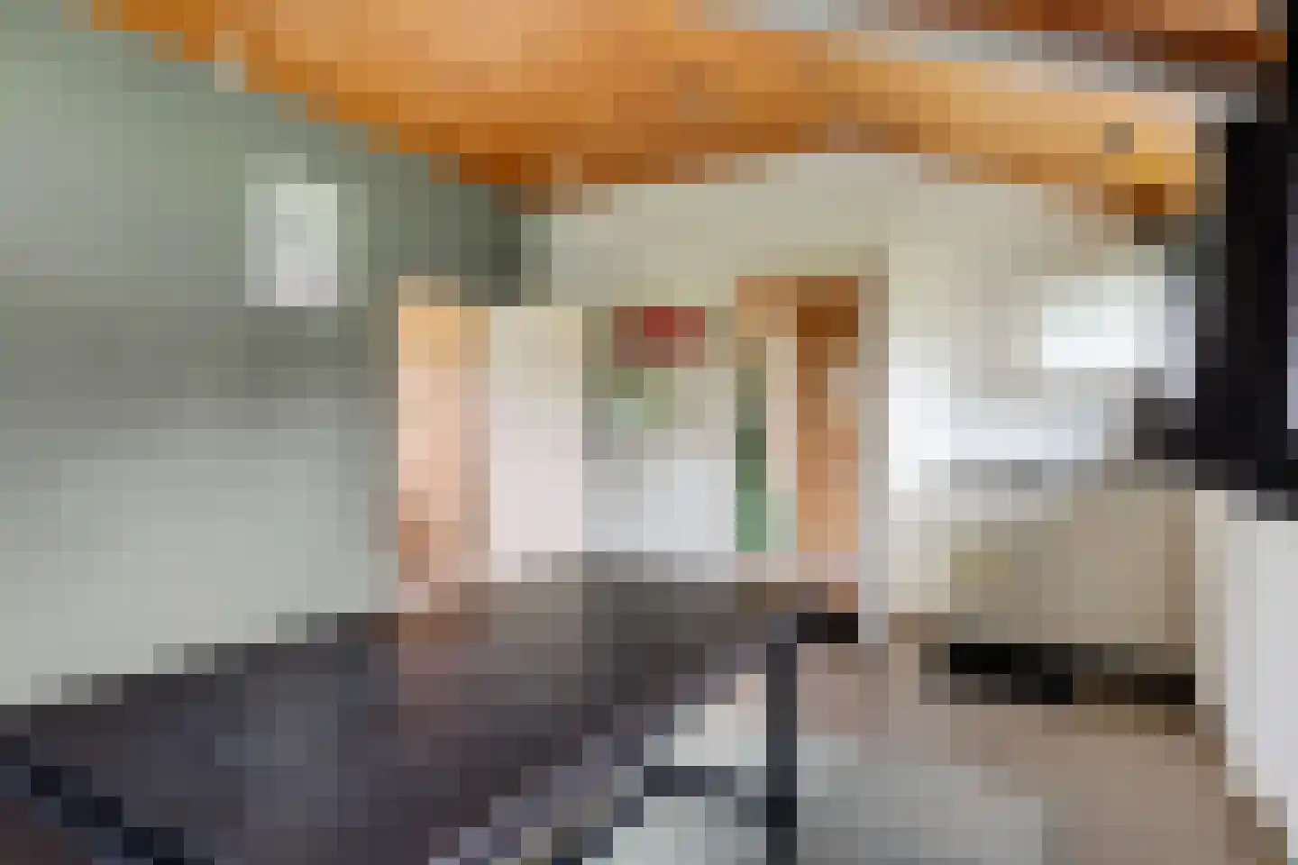 Stevensstraat 54 Westerbeek thumbnail 34