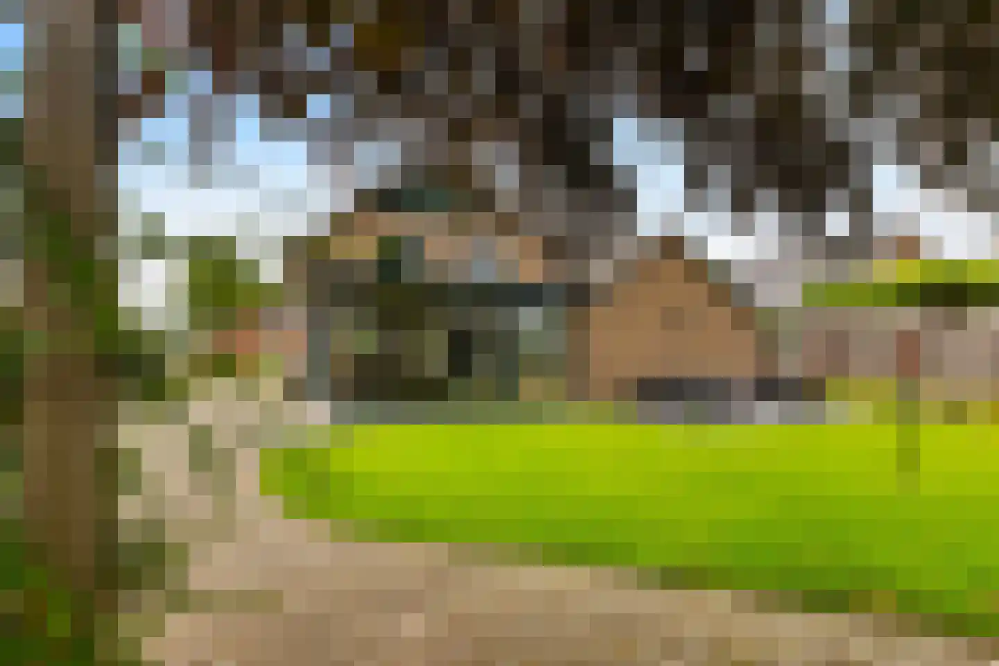 Stevensstraat 54 Westerbeek thumbnail 38