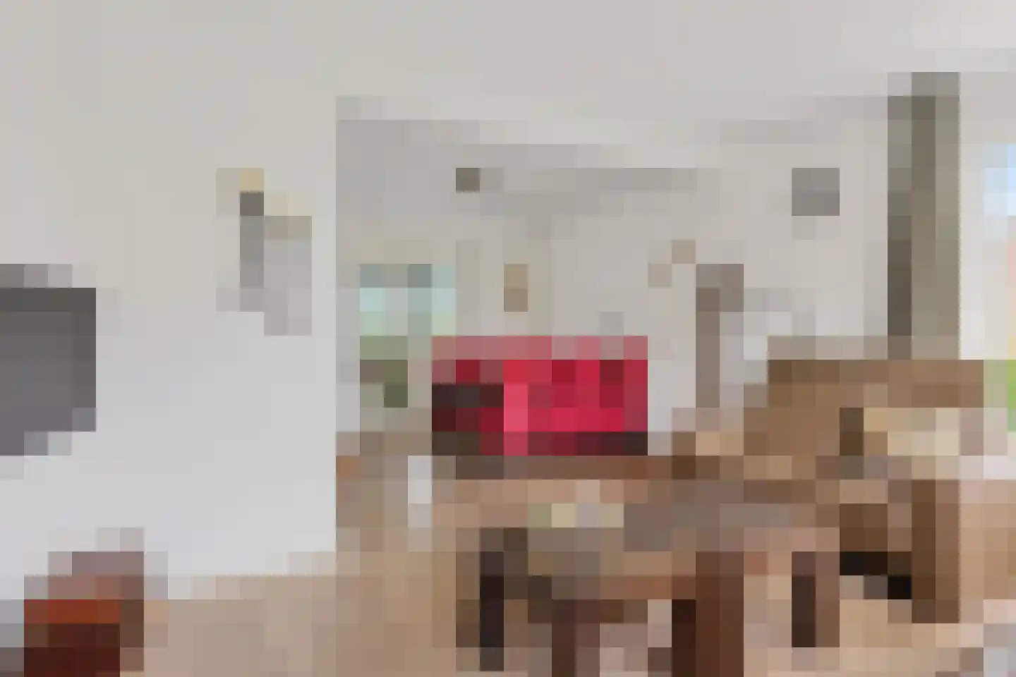 Stevensstraat 54 Westerbeek thumbnail 5