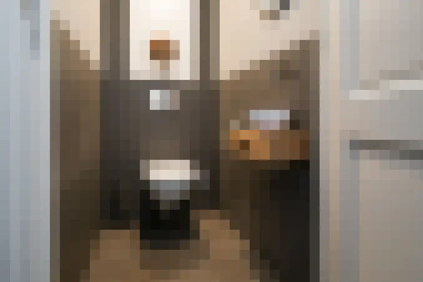 Stevenstraat 9 Haaften thumbnail 11