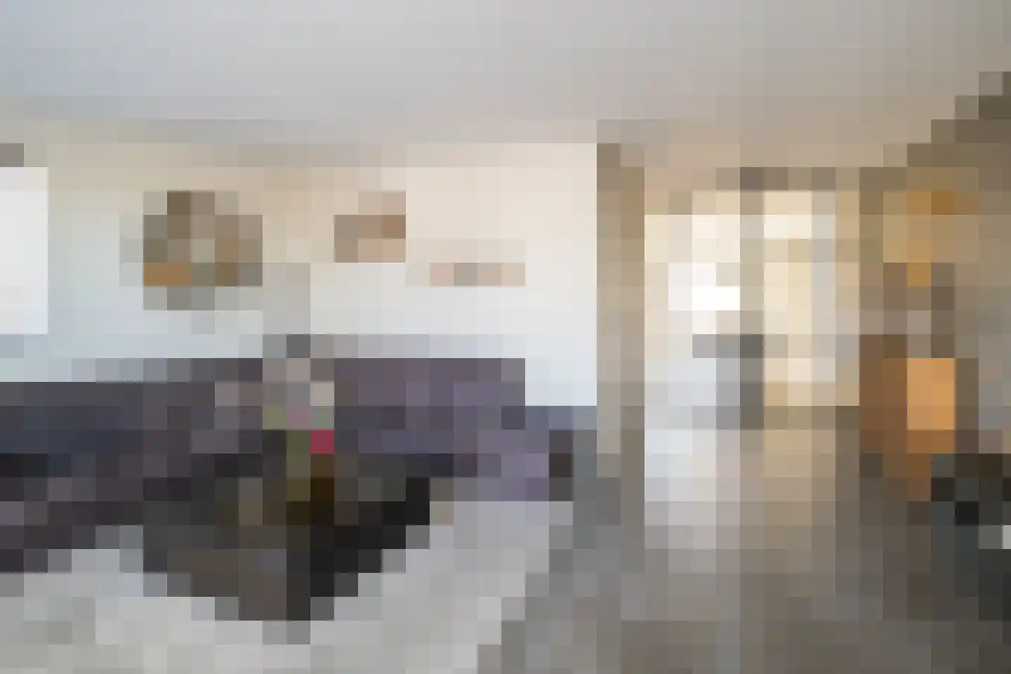 Stevenstraat 9 Haaften thumbnail 15