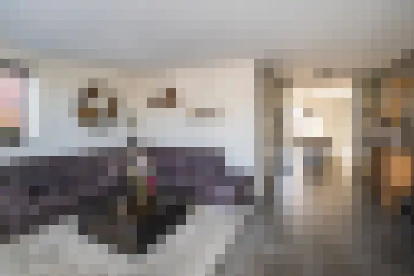Stevenstraat 9 Haaften thumbnail 16