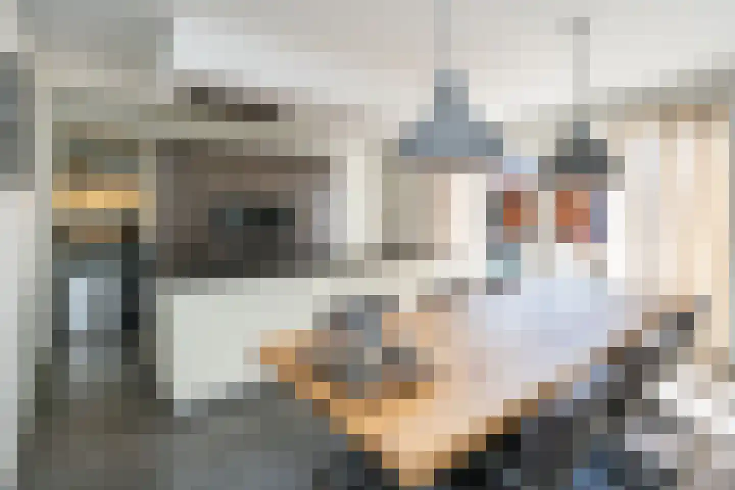 Stevenstraat 9 Haaften thumbnail 18