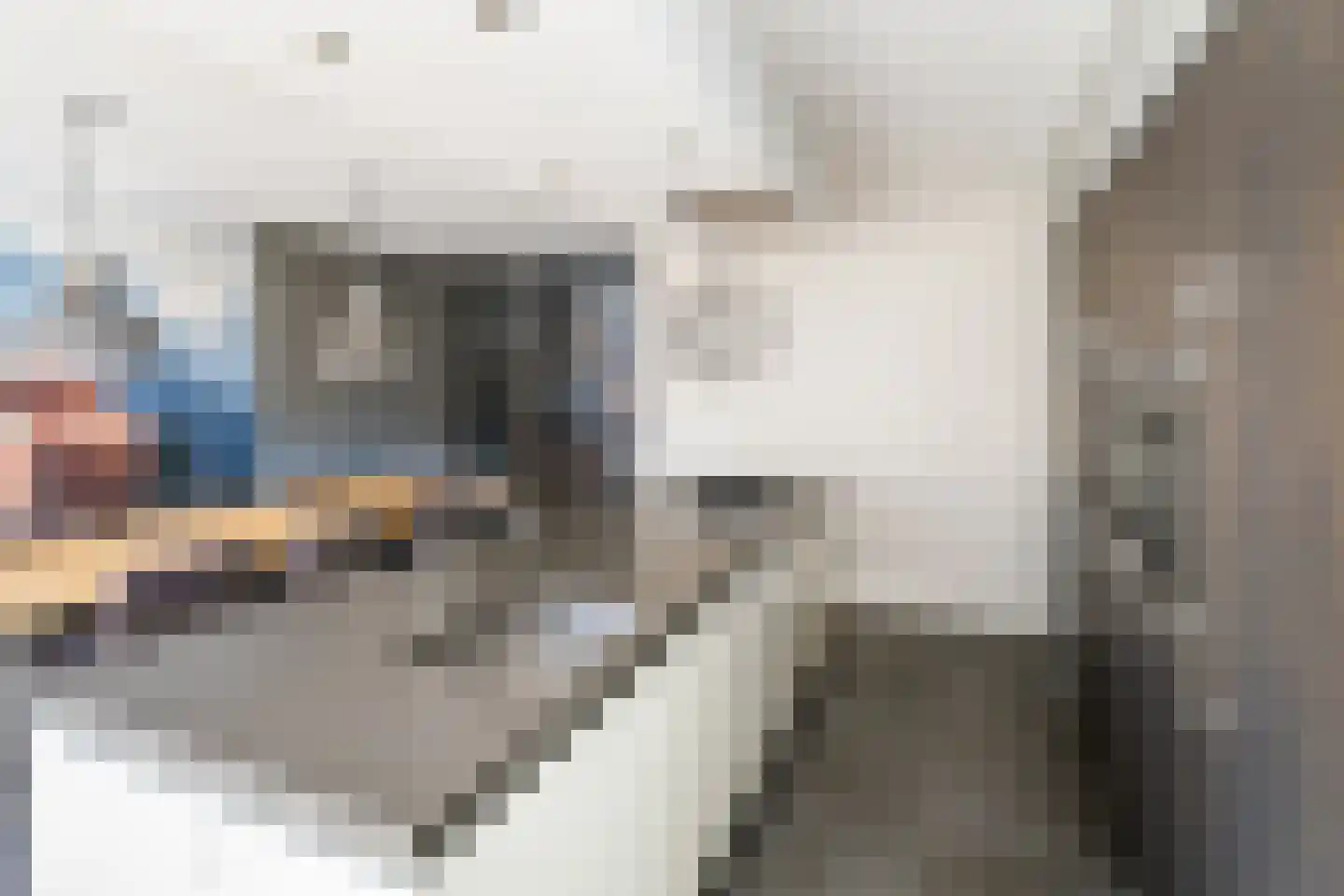 Stevenstraat 9 Haaften thumbnail 20