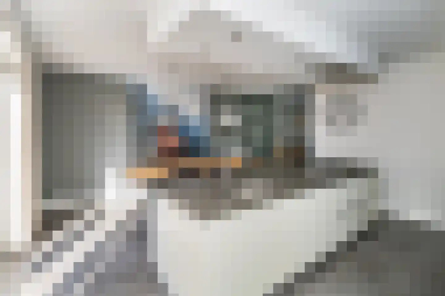 Stevenstraat 9 Haaften thumbnail 22