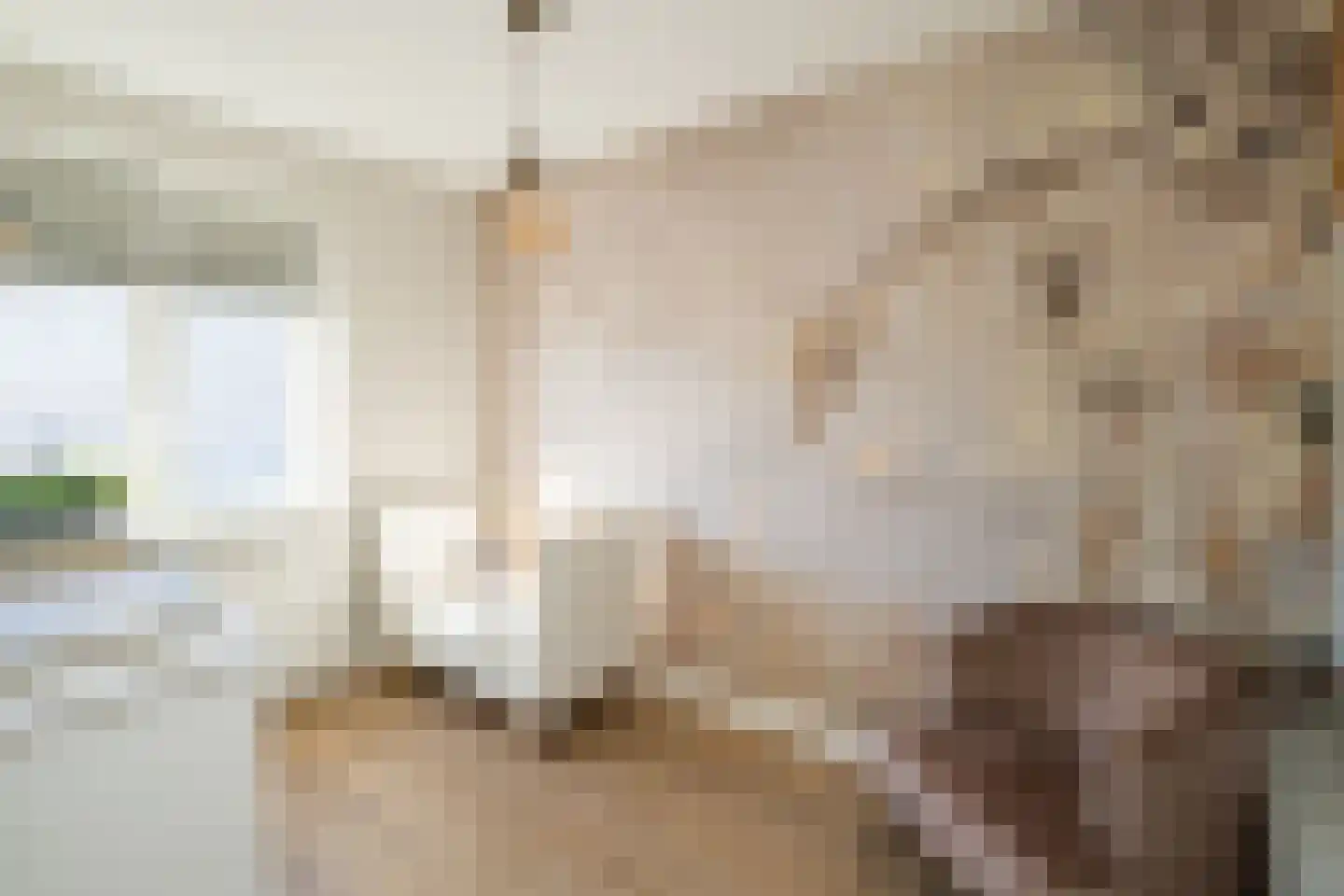 Stevenstraat 9 Haaften thumbnail 32