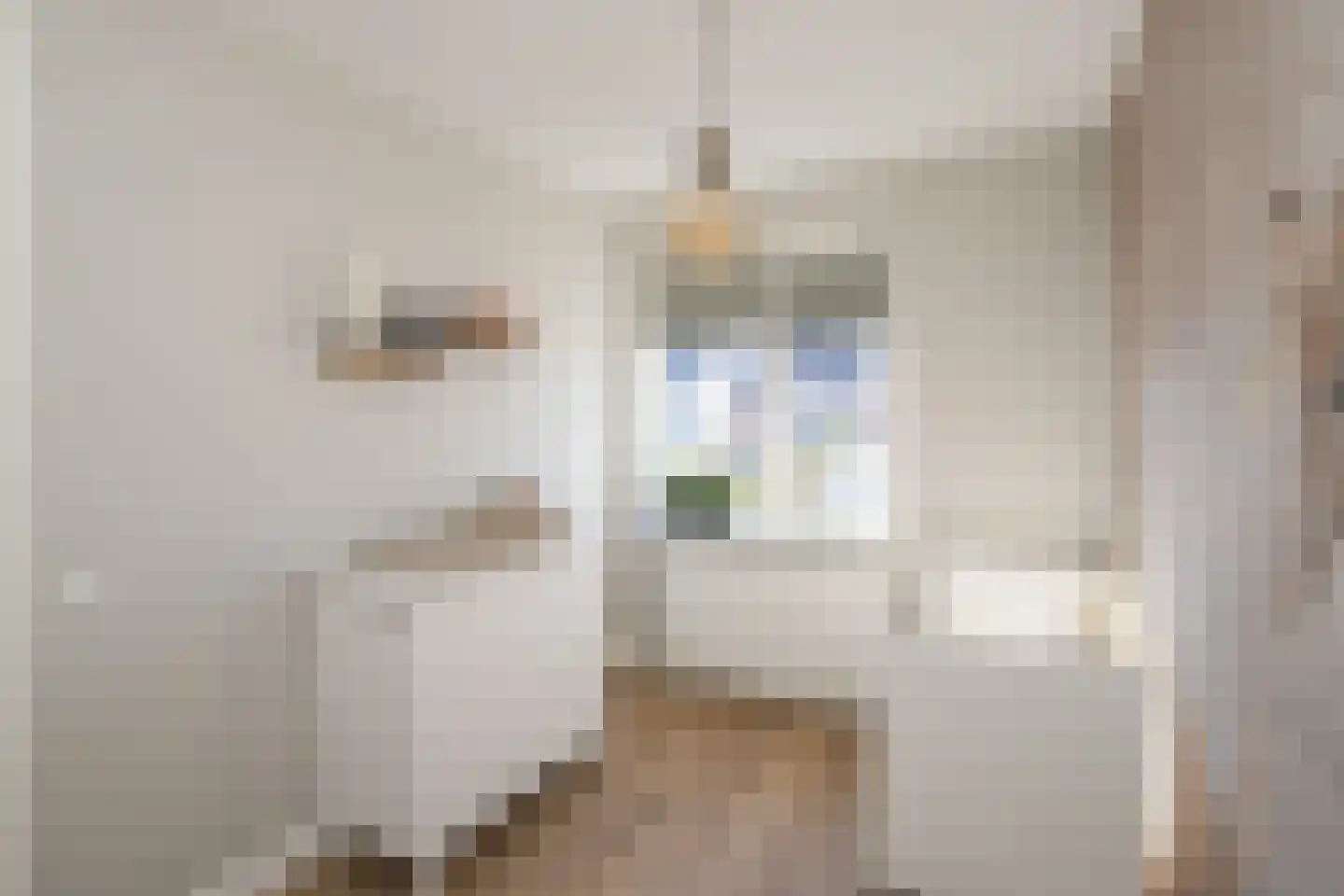Stevenstraat 9 Haaften thumbnail 33