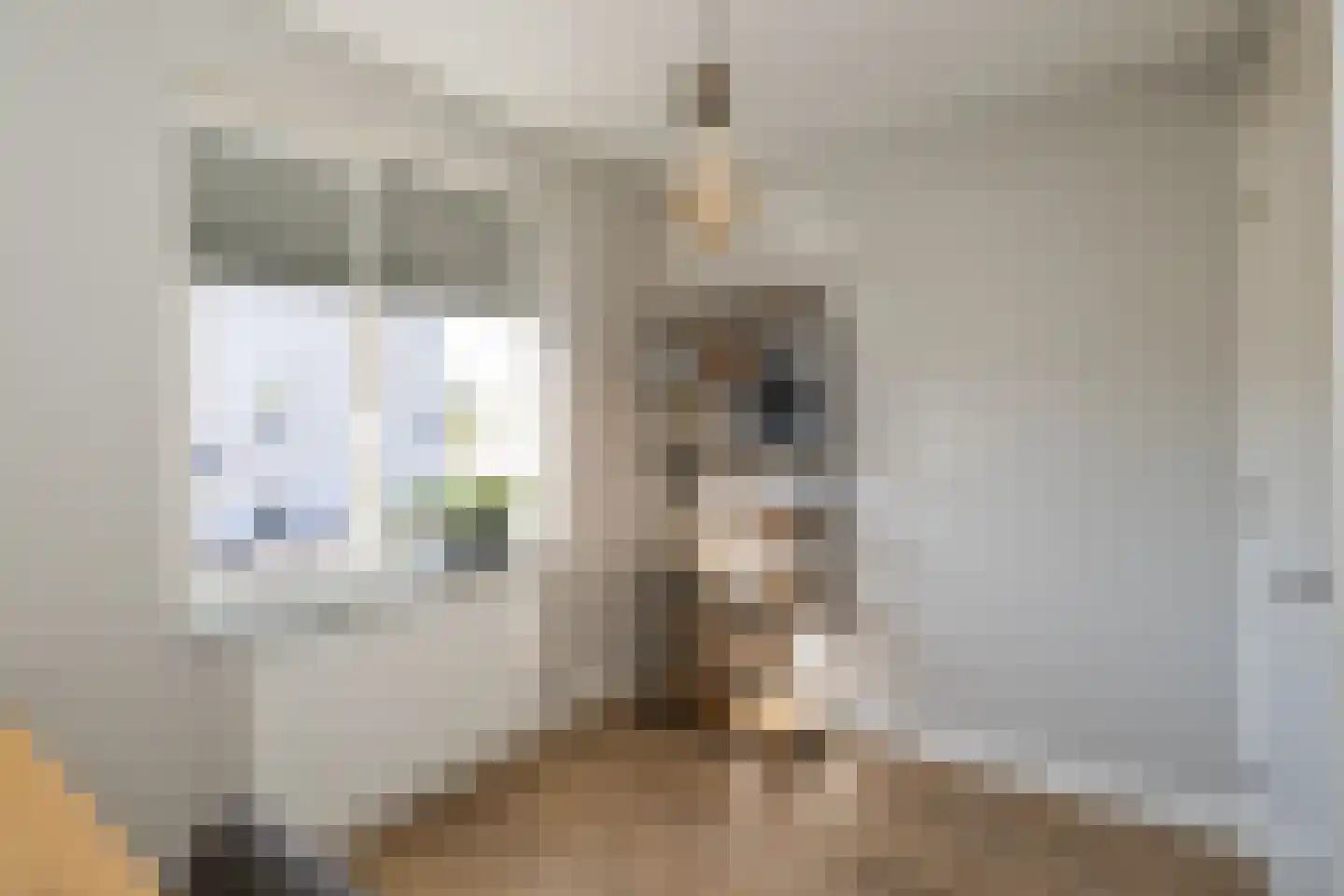 Stevenstraat 9 Haaften thumbnail 35