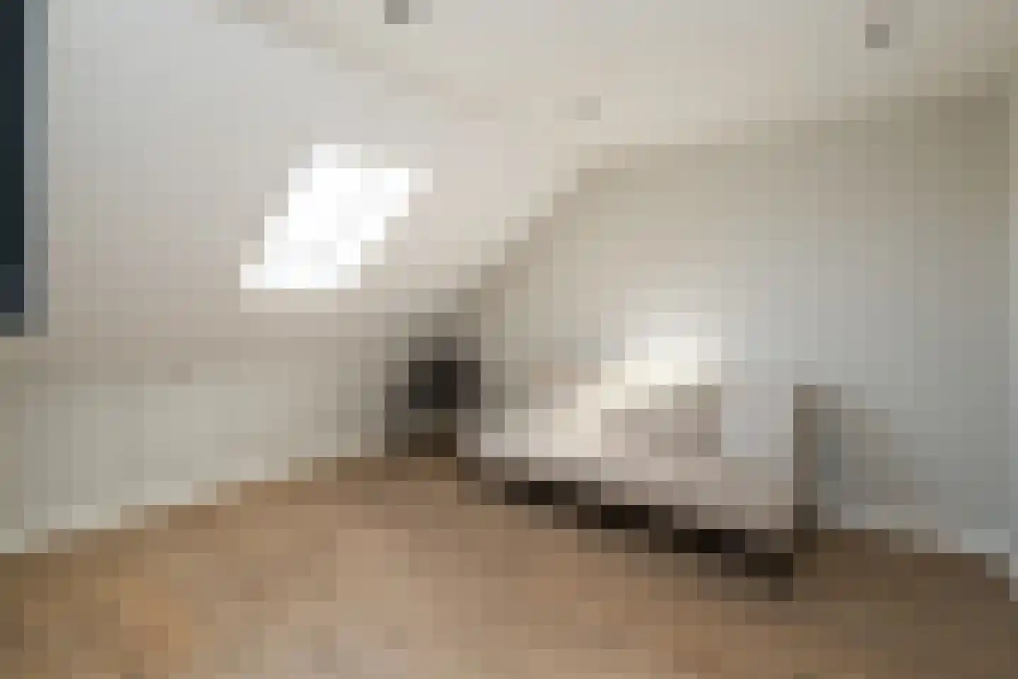Stevenstraat 9 Haaften thumbnail 46
