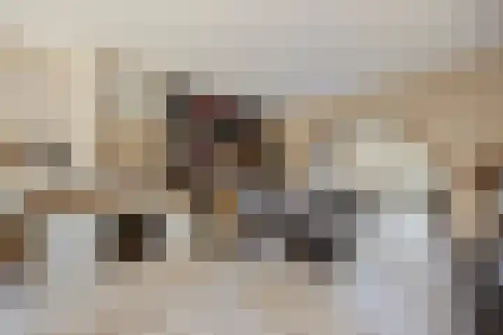 Stevensweerterweg 3 Maasbracht thumbnail 10