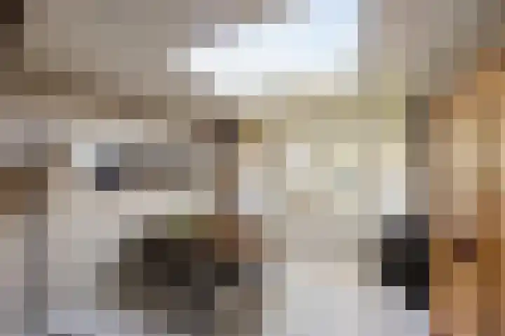 Stevensweerterweg 3 Maasbracht thumbnail 14