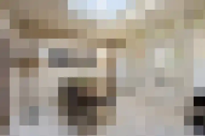 Stevensweerterweg 3 Maasbracht thumbnail 15