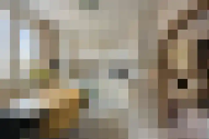 Stevensweerterweg 3 Maasbracht thumbnail 16