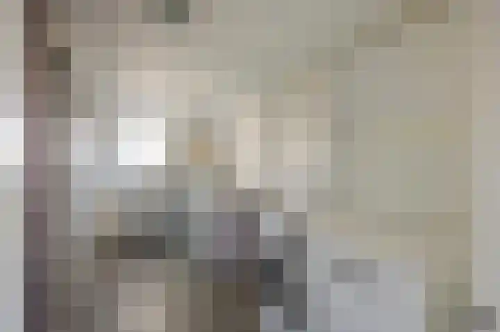 Stevensweerterweg 3 Maasbracht thumbnail 19