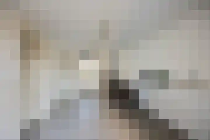 Stevensweerterweg 3 Maasbracht thumbnail 20